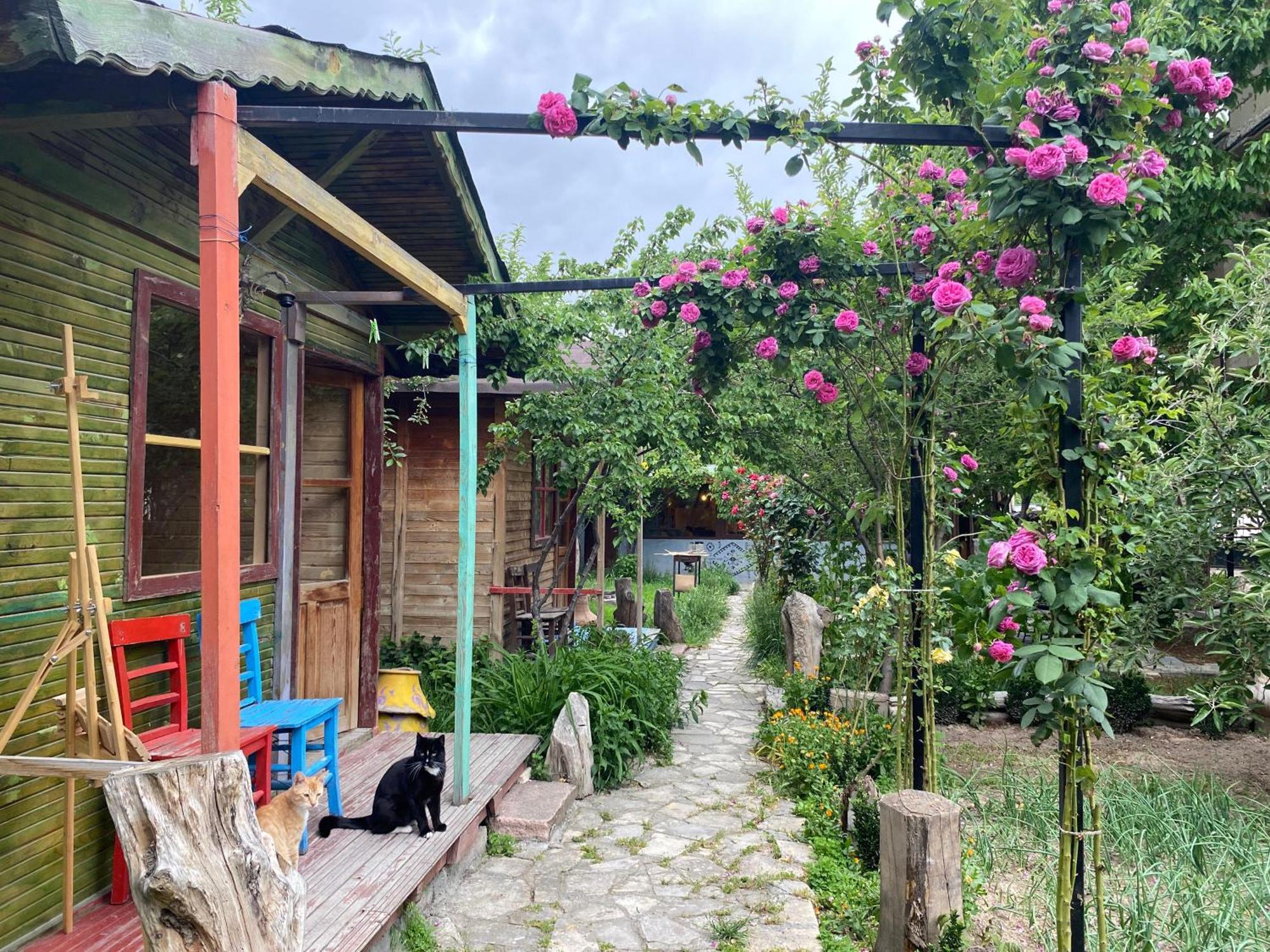 Philosophy Hotel Uçhisar Zewnętrze zdjęcie